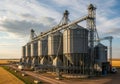 Large grain storage facility in a rural area Royalty Free Stock Photo
