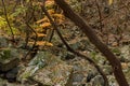 Large granite boulders on mountainside Royalty Free Stock Photo