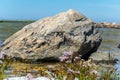 large granite rock single in nature