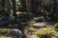 large granite rock single in nature