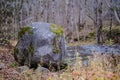 large granite rock single in nature