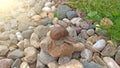 A large grape snail crawls on a stone, sitting on a rock Royalty Free Stock Photo