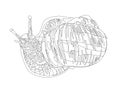 Large grape snail. Doodle style. Vector illustration. Isolated on a white background
