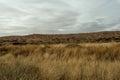 Large grass field in front of mesa plateau in open desert range on cloudy day