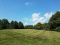 Large grass field with trees and blue sky Royalty Free Stock Photo