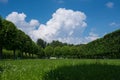 Large grass spring field in the middle and big trees forest around, sun and blue sky with fluffy clouds as background Royalty Free Stock Photo