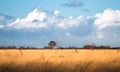 Large grassland with storm clouds in England Royalty Free Stock Photo