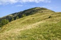 Large grassy meadow, slopes and forested hillsides of Carpathians Royalty Free Stock Photo