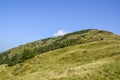 Large grassy meadow, slopes and forested hillsides of Carpathians Royalty Free Stock Photo