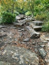 Large Gray Boulders in Wooded Nature Setting