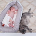 A large gray cat next to a newborn baby to a cocoon on the crib