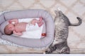 A large gray cat next to a newborn baby to a cocoon on the crib Royalty Free Stock Photo