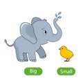 A large gray elephant and a small chicken. the concept of children`s learning of opposite adjectives Big and Small