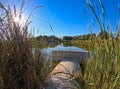 Concrete drainage pipe emptying into a lake surrounded by cattails