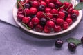 A large gray stick filled with sweet cherries and cherries of red and burgundy color. Royalty Free Stock Photo