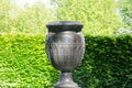 Large Greek style vase in formal garden with hedge