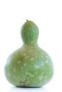 Large green bottle gourd Royalty Free Stock Photo