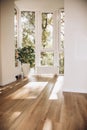 Large green ficus flowerpot in a tall pot near the big window. Home gardening concept with shadows