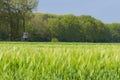 Large, green field