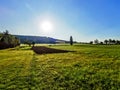 Large green field with trees under the bright sun shining during daylight Royalty Free Stock Photo