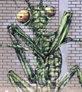 Large Green Flying Bug, Graffiti