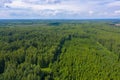 Large green forest and beautiful cloudy sky on a summer day