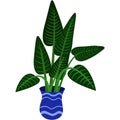 Large green indoor plant in a tall blue pot