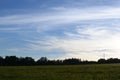 Large green landscape covered in grass and trees under the blue sky Royalty Free Stock Photo