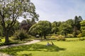 Large green lawn area for picnics in an English park. Royalty Free Stock Photo
