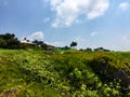 large green lawn on the coast of the sea in front of the houses Royalty Free Stock Photo