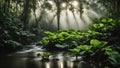 Large green leaves in spring tropical rainforest with river, plant growth and environmental protection concept, wet jungle,