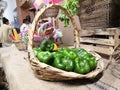 Large green peppers in a basket