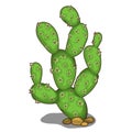 Large green prickly cactus in cartoon style