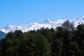 Green trees in a forest with a view of huge snowy mountain Royalty Free Stock Photo