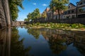 Naturally growing water plants in a Dutch city canal with flowing water and reflecting water surface. Royalty Free Stock Photo