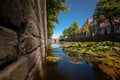 Naturally growing water plants in a Dutch city canal with flowing water and reflecting water surface. Royalty Free Stock Photo