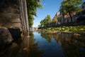 Naturally growing water plants in a Dutch city canal with flowing water and reflecting water surface. Royalty Free Stock Photo