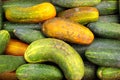 Large green and yellow cucumbers Royalty Free Stock Photo