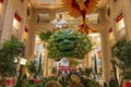 A large green and yellow dragon and a red and yellow bird and clouds hanging from the ceiling surrounded by lush green trees