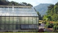 Large greenhouse located in the countryside in Chiang Mai, Thailand.