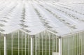 Large Greenhouse From Outside