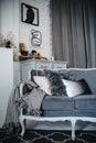 large grey retro sofa quality photo