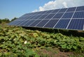 Large ground mounted residential solar panel system for efficient off grid solar power installed in home kitchen garden to produce