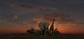 A large group of African animals, giraffes, lions, elephants, monkeys and others