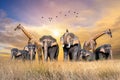 Large group of african safari animals. Wildlife conservation concept Royalty Free Stock Photo