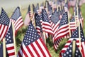 Large Group of American Flags - Shallow DOF Royalty Free Stock Photo