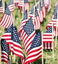 Large Group of American Flags - Vertical Royalty Free Stock Photo