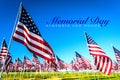 A large group of American flags. Veterans or Memorial day display Royalty Free Stock Photo