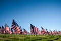 A large group of American flags. Veterans or Memorial day display Royalty Free Stock Photo