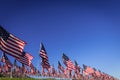 A large group of American flags. Veterans or Memorial day display Royalty Free Stock Photo